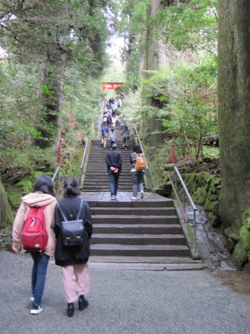 箱根神社の石段